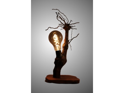 lampe-ambiance-pied-vigne-bois-teck-ampoule-radix6-pd_856364014