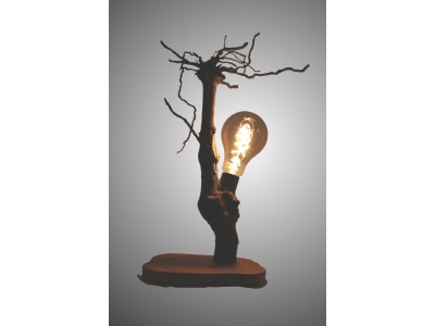 lampe-ambiance-pied-vigne-bois-teck-ampoule-radix6-pg_1782852015